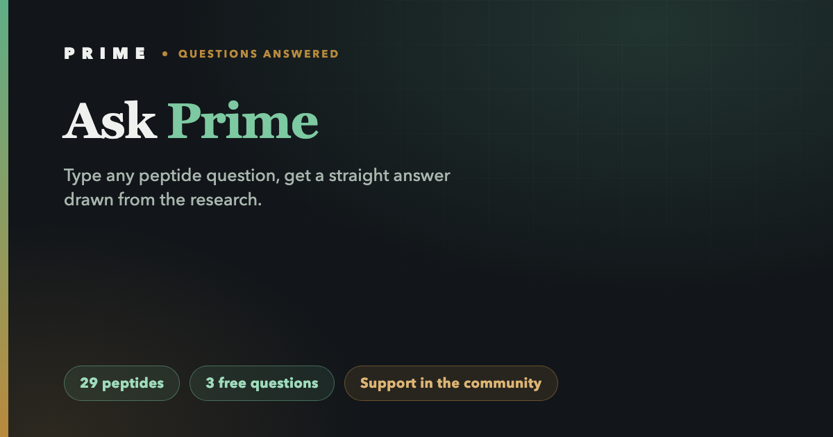 Ask Prime cover